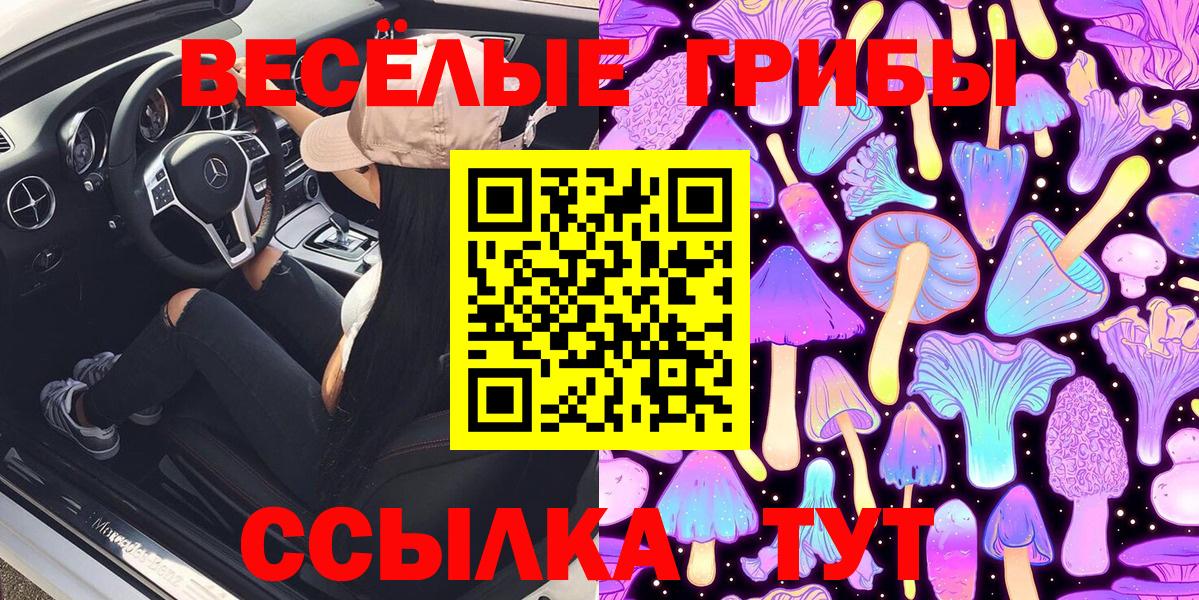 Знаменск  Псилоцибиновые грибы GOLDEN TEACHER  Вход с VPN 